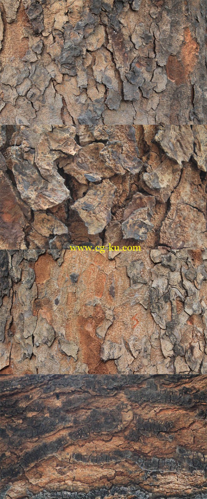 Tree Bark Textures 20 Set 1的图片1