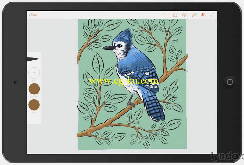 Lynda - Adobe Draw for Illustration的图片1