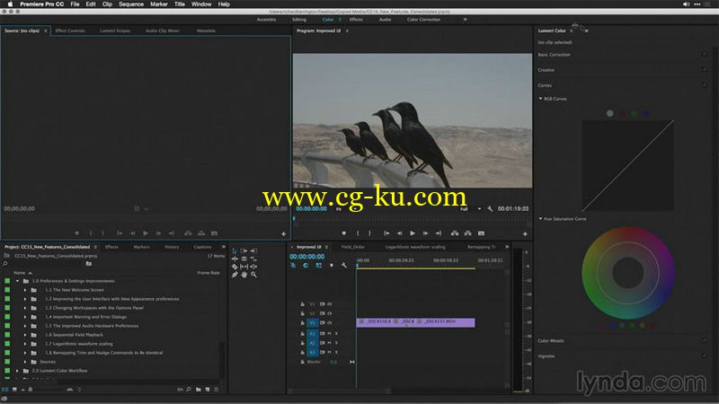 Lynda - Premiere Pro 2015 Creative Cloud的图片1