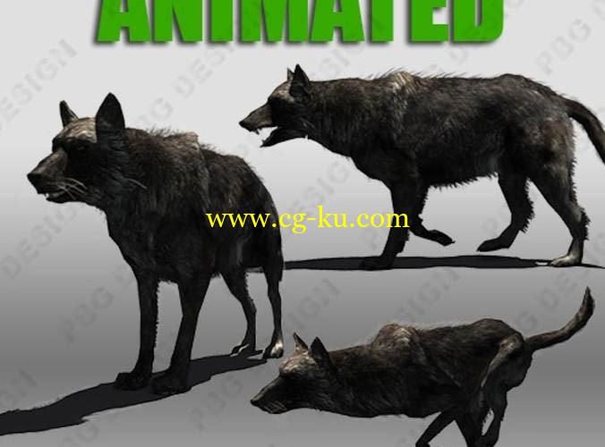 cgtrader - Black Wolf Animated的图片1