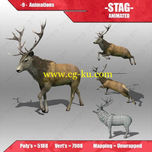 cgtrader - Stag Animated的图片1