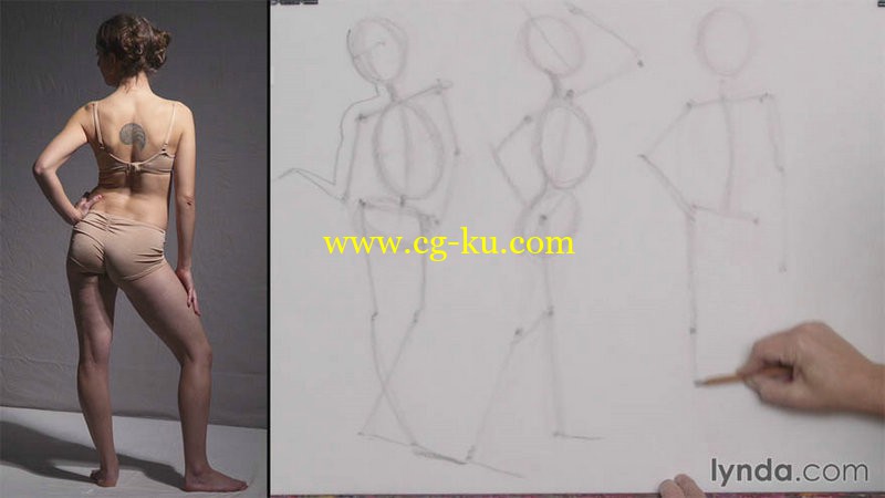 Lynda - Foundations of Figure Drawing的图片1