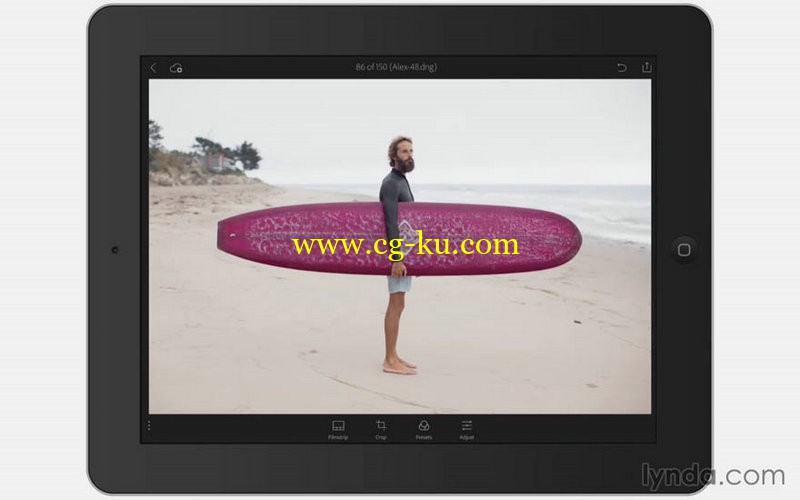 Lynda - Learn Lightroom Mobile The Basics的图片1