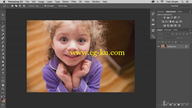 TrainSimple - Photoshop CC Fundamentals Revision 2016的图片1