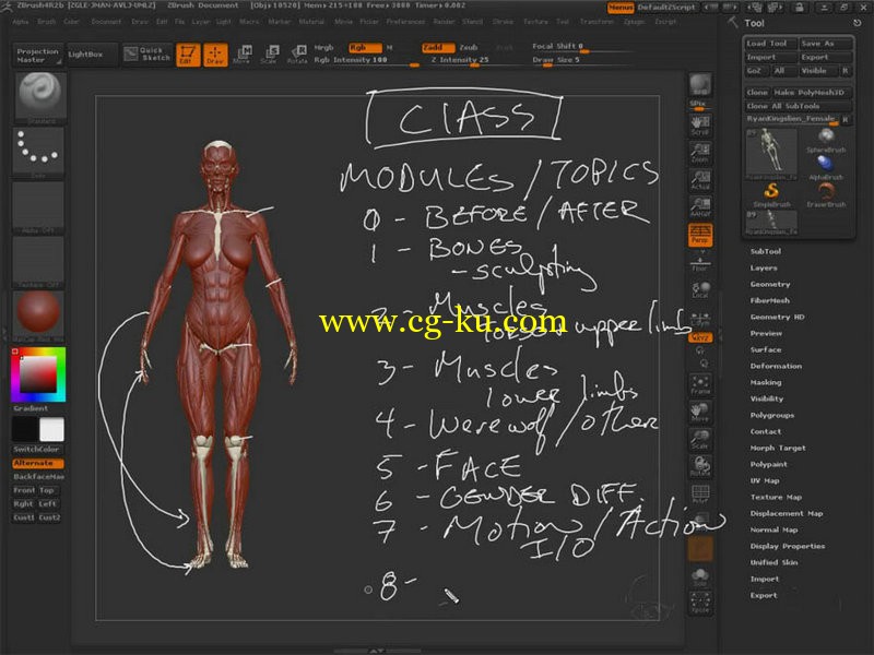 Uartsy - Artistic Anatomy in ZBrush的图片1