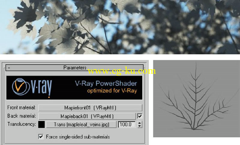 V-Ray寫實樹葉材質教學的图片4