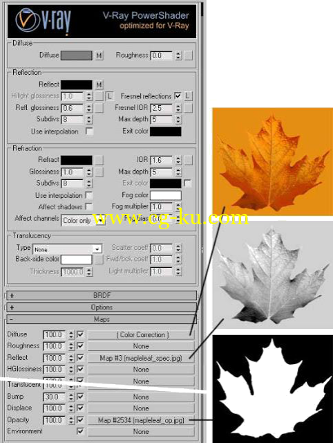 V-Ray寫實樹葉材質教學的图片5