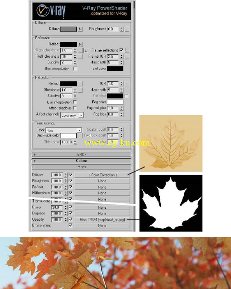 V-Ray寫實樹葉材質教學的图片6