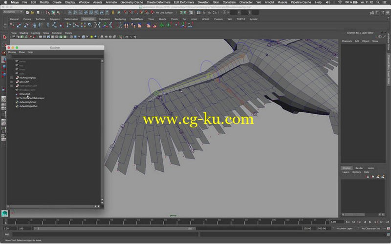 Gumroad - Feather wing grooming and setup in Peregrine labs Yeti的图片1