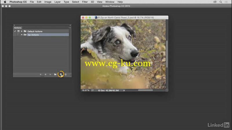 Lynda - Customize Photoshop A Practical Approach的图片1