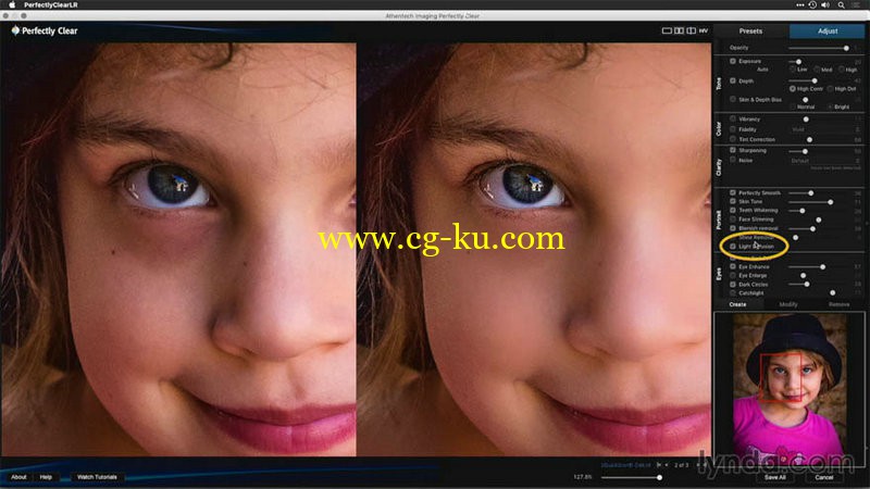 Lynda - Enhancing Photos with Perfectly Clear的图片1