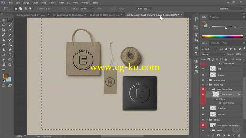 Pluralsight - Crafting a Visual Identity in Illustrator CC的图片1