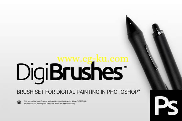 RM Digi Brushes 3.0 (2016)的图片1