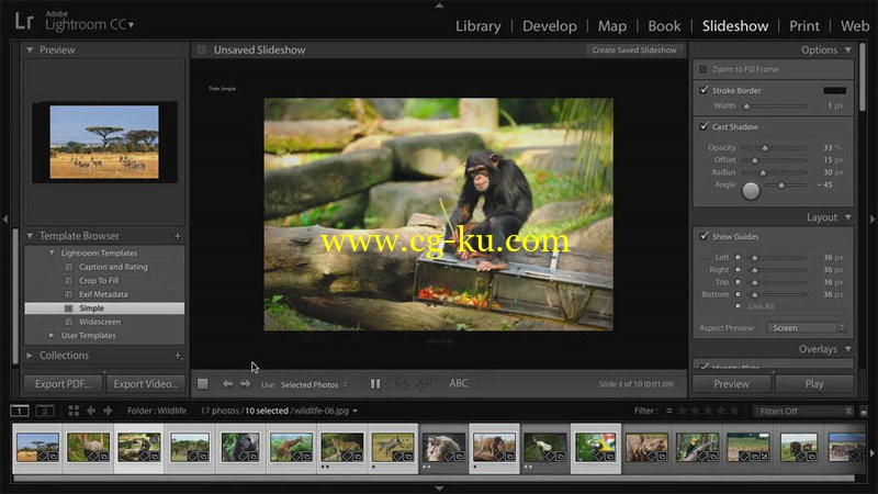 TrainSimple - Lightroom CC 6 Slideshow Module的图片1