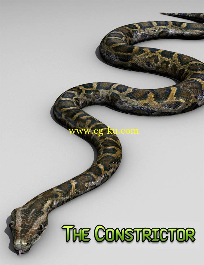 Daz3D - Poser - The Constrictor的图片1