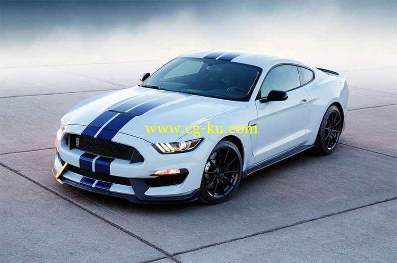 Ford Shelby Mustang GT350R 2016的图片1