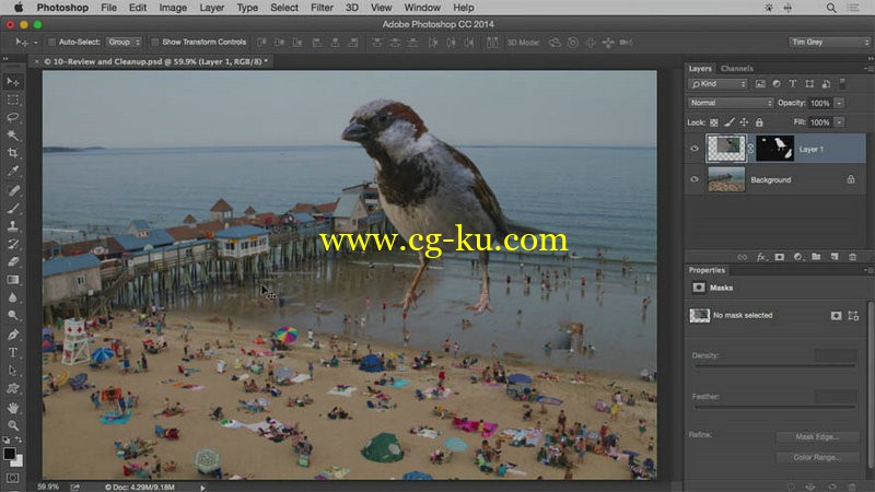 CreativeLive - Getting Started with Composite Images with Tim Grey的图片1