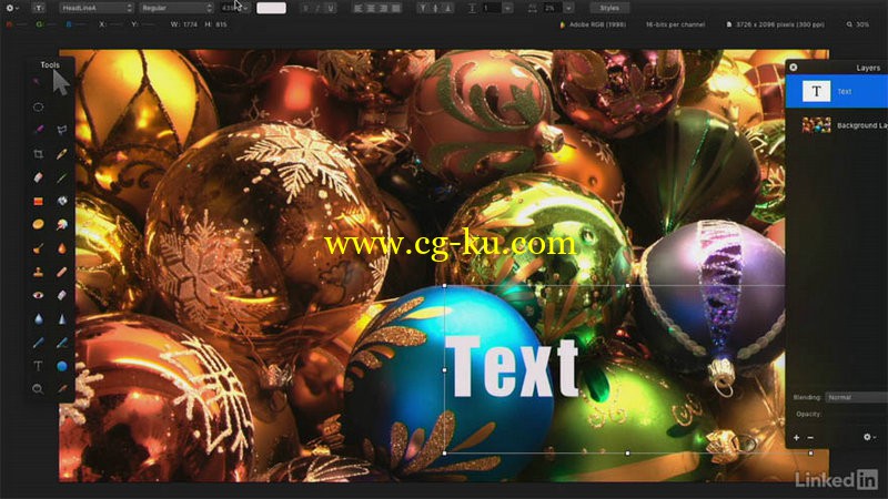 Lynda - Learn Pixelmator The Basics的图片1