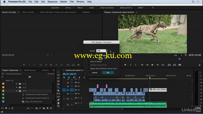 Lynda - Premiere Pro CC Essential Training的图片1