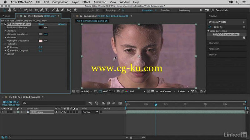 Lynda - Premiere Pro Guru Fix It in Post的图片1