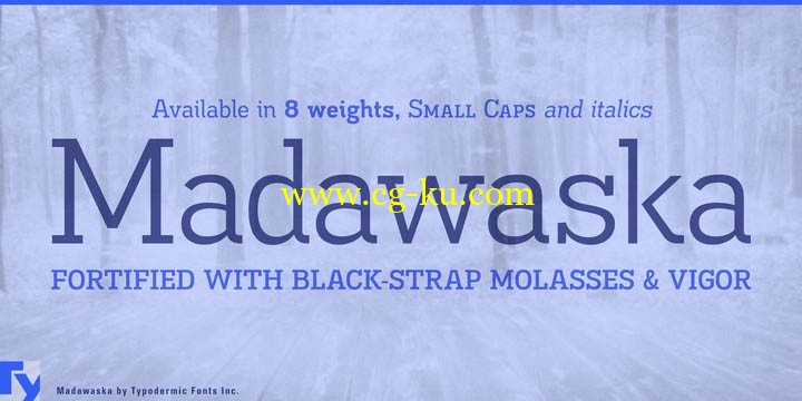 Madawaska Font Family的图片1