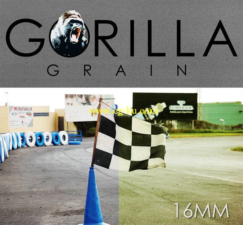 Gorilla Grain 16MM 35MM and Vintage grain Bundle的图片1