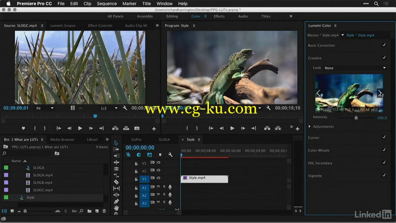 Lynda - Premiere Pro Guru LUTs and Look Files的图片1