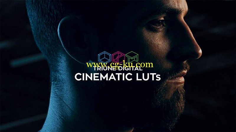 Triune Digital Cinematic LUTs的图片1