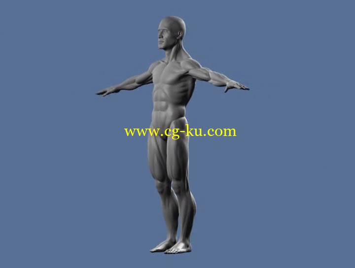 Freedom of Teach - Maya TrainingOrganic modelling - 1 Human Anatomy的图片1