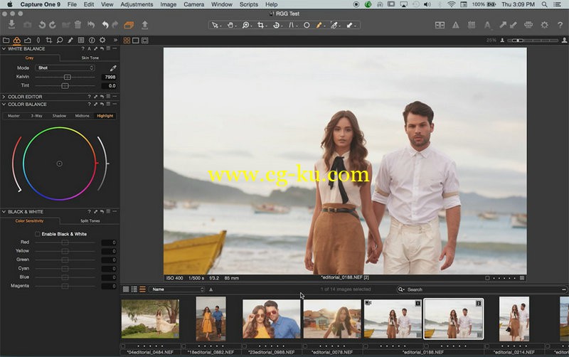 RGGEDU - Capture One Pro 9 Tutorial For Photographers的图片1