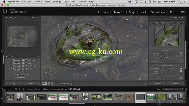 Train Simple - Lightroom CC 6 Fundamentals的图片1