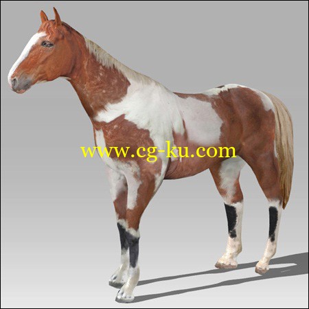 Arteria 3D Brown Horse的图片1