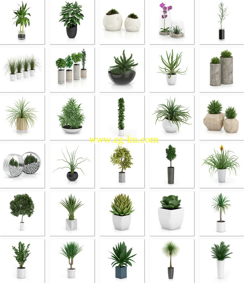 CGAxis Models Volume 50 3D Plants III的图片1