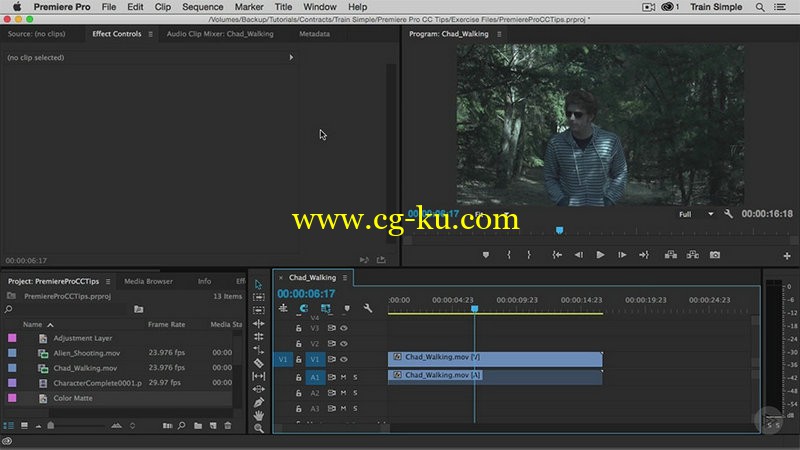 Pluralsight - Premiere Pro CC Tips的图片1