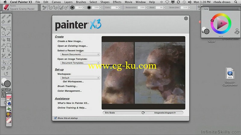 Udemy - Learning Corel Painter X3 - Be Creative With Painter ​的图片1