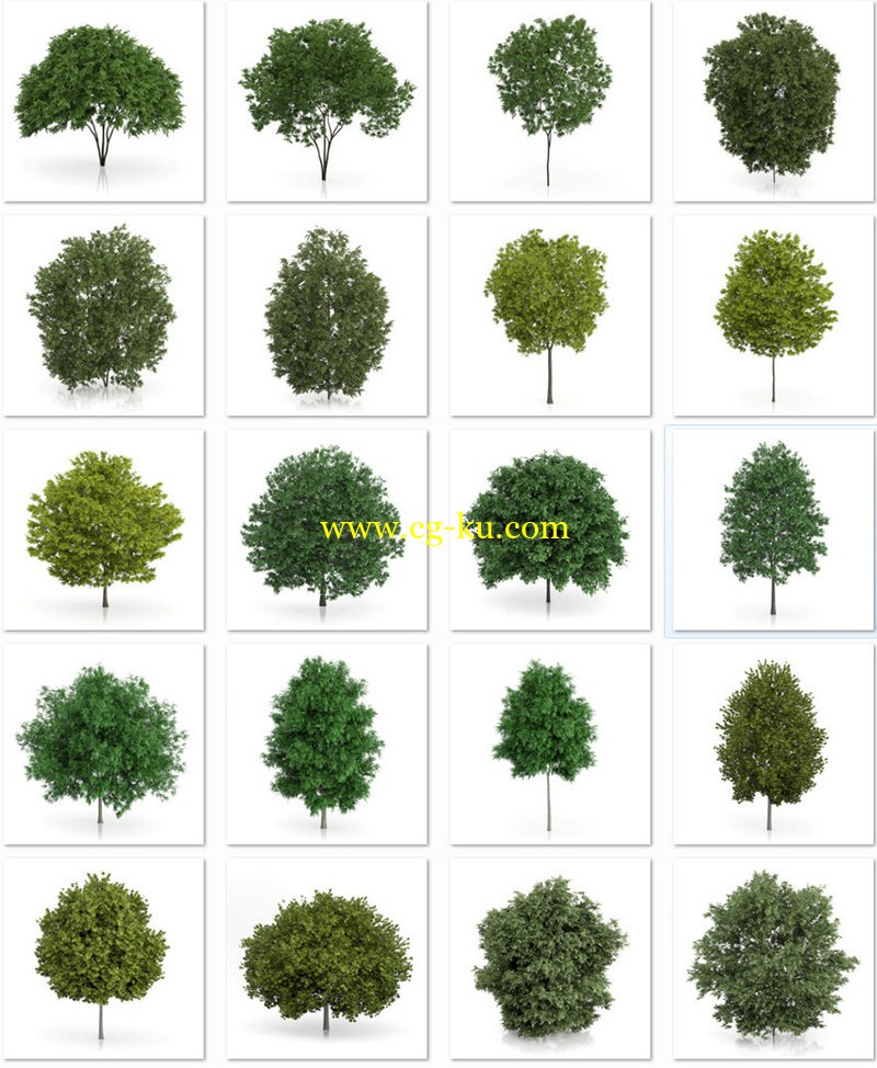 CGAxis Models Volume 54 3D Trees V的图片1