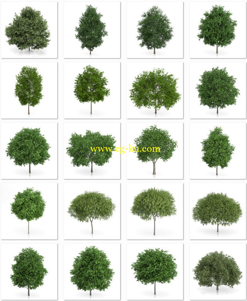 CGAxis Models Volume 54 3D Trees V的图片2