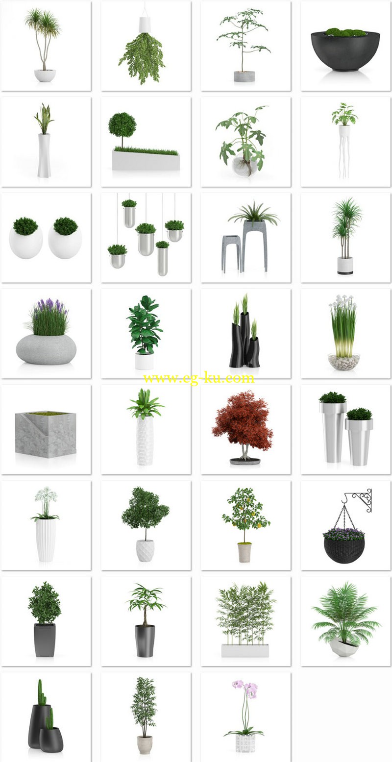 CGAxis Models Volume 60 - 3D Plants IV的图片1