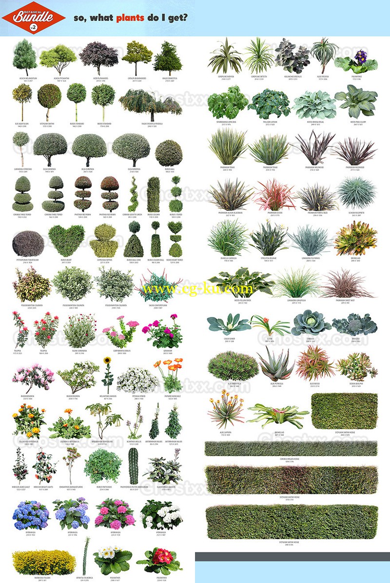 Botanical Bundle v2的图片1