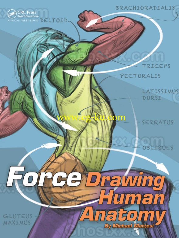 Mattesi - Force - Drawing Human Anatomy的图片1