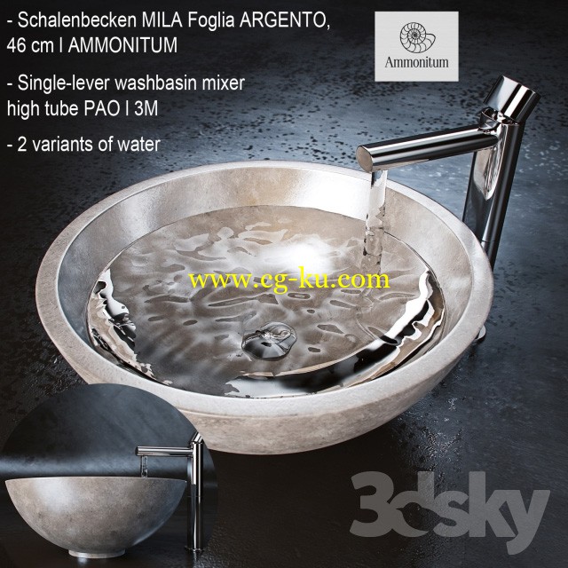 Faucet and sink_003的图片1