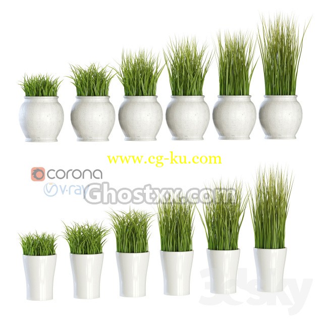 Grass in pots - Vray - 3D Model的图片1