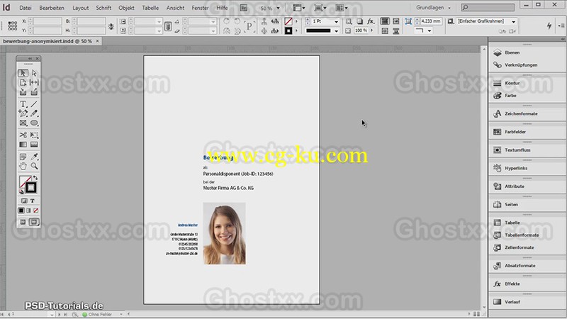 ​PSD Tutorials - InDesign Video Training Moderne Praxis German的图片1