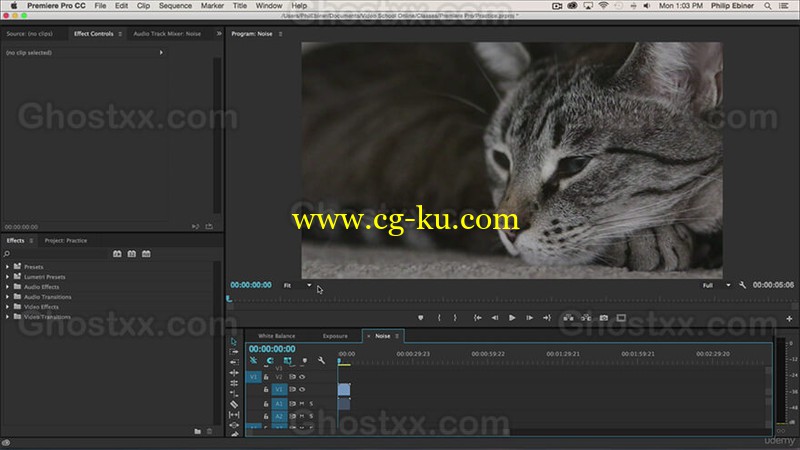 Adobe Premiere Pro CC Easy Video Editing with Premiere Pro的图片1