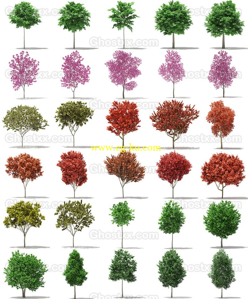 CGAxis Models Volume 76 Trees X的图片1