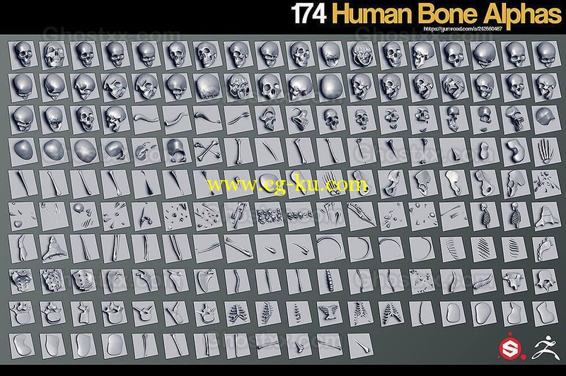 Gumroad - 174 Human Bone Alphas的图片1