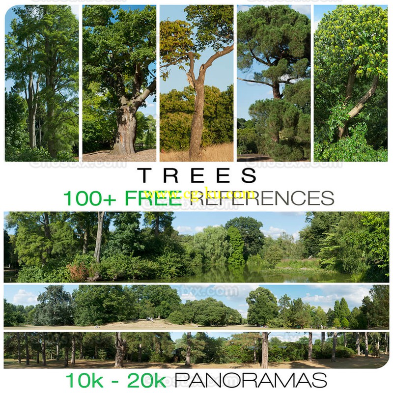 Gumroad - Free trees references的图片1