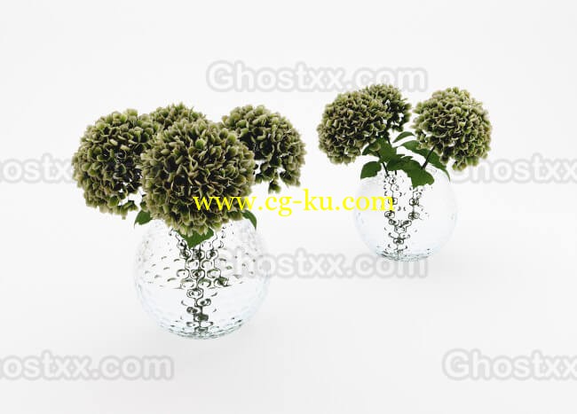 Hydrangea bouquet - model的图片1