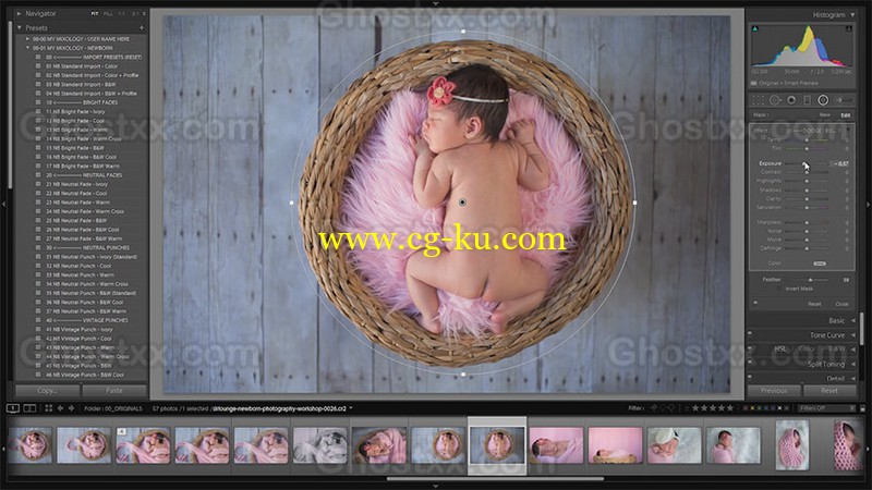 SLR Lounge DVD Newborn Photography Workshop Collection and Lightroom Presets的图片1