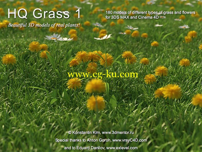 Mentor Plants HQ Grass 1的图片1